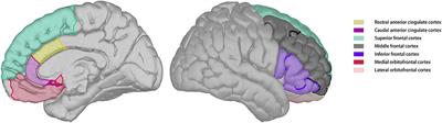 Altered Prefrontal Blood Flow Related With Mild Cognitive Impairment in Parkinson's Disease: A Longitudinal Study